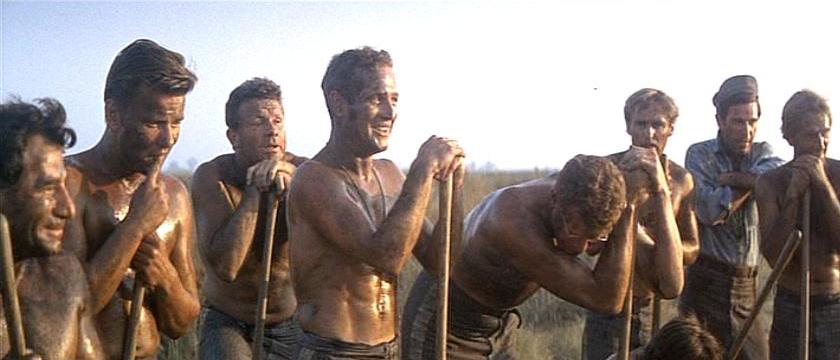 cool hand luke shovels