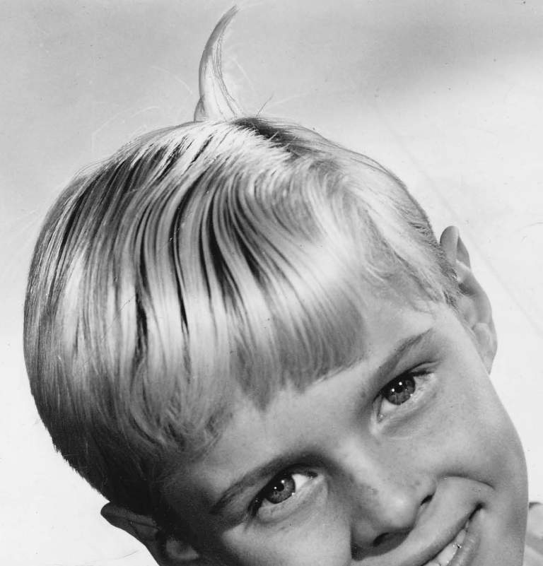 Dennis_the_Menace_Jay_North_1960 B