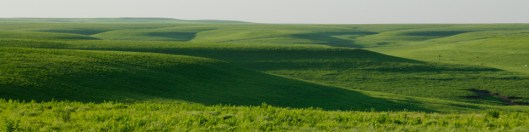 tall grass prairie