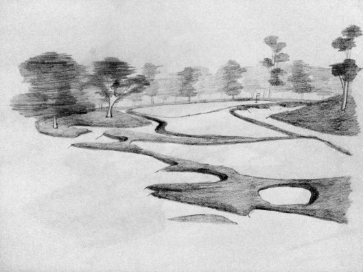 Pencil Sketch not Identified