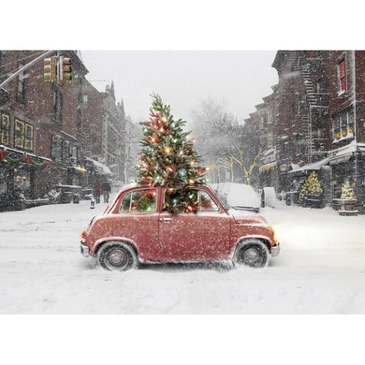 Christmas Tree in Small Car