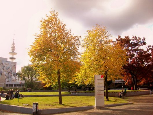 Hamburg University School of Meteorology