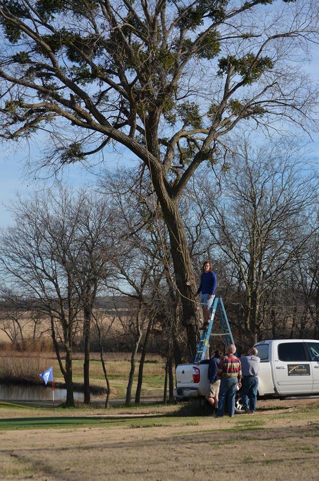 Thanksgiving 2013 Mistletoe Tree Episode