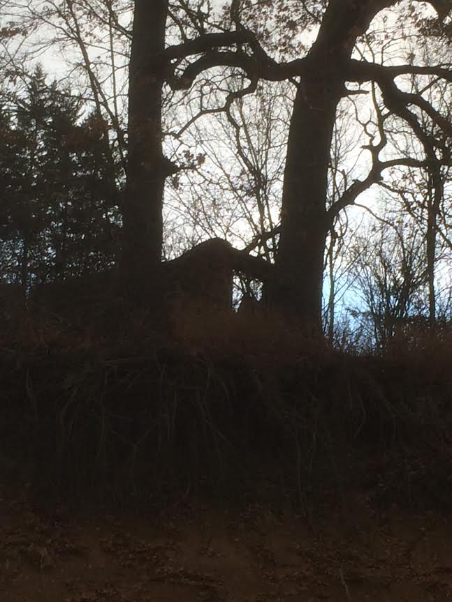 Caney Old Stone House