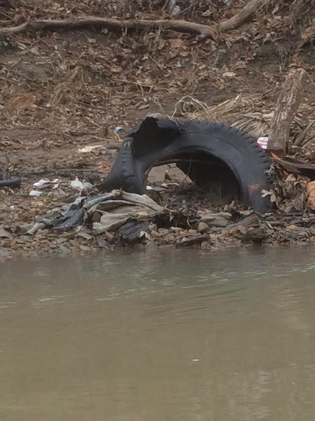 Caney Old Tire Embedded