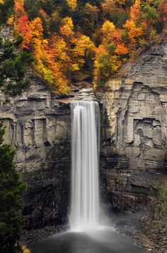 Gorges Ithaca NY